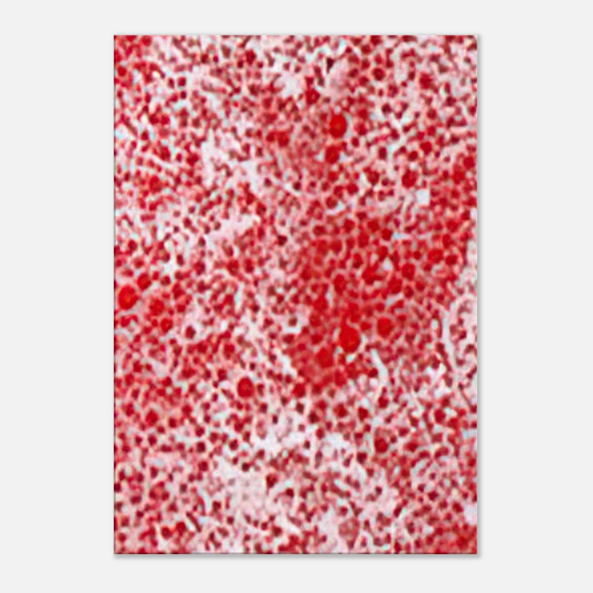 1b21f27d-f60e-4223-bbe2-47f5b3ca3ef1