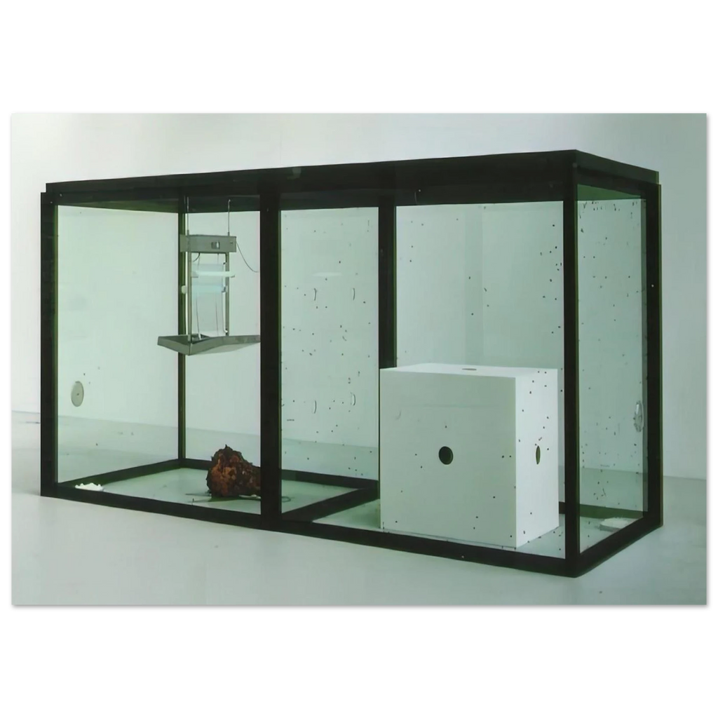 1fad6186-03f5-49bd-9197-0bae6f17c8a1