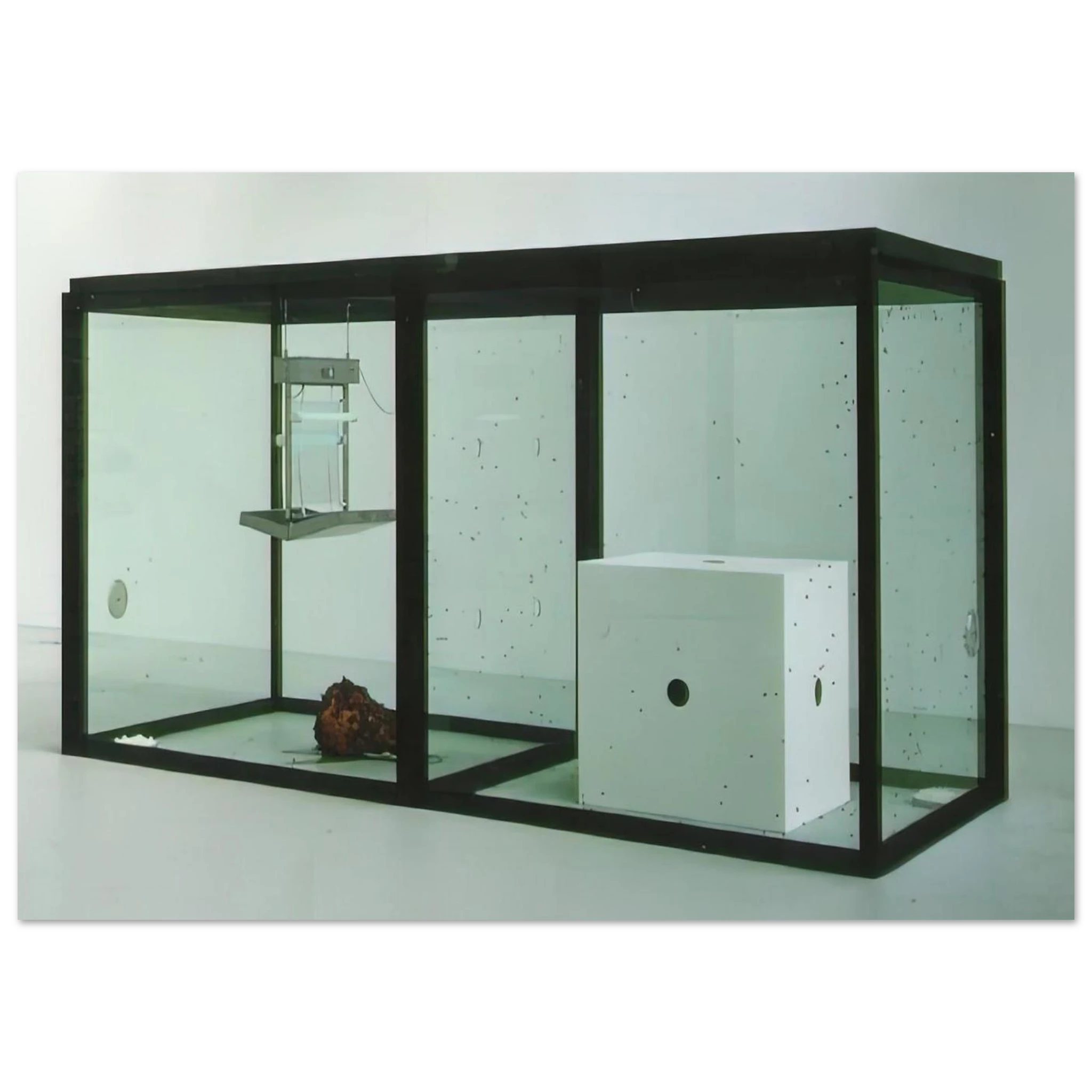 1fad6186-03f5-49bd-9197-0bae6f17c8a1