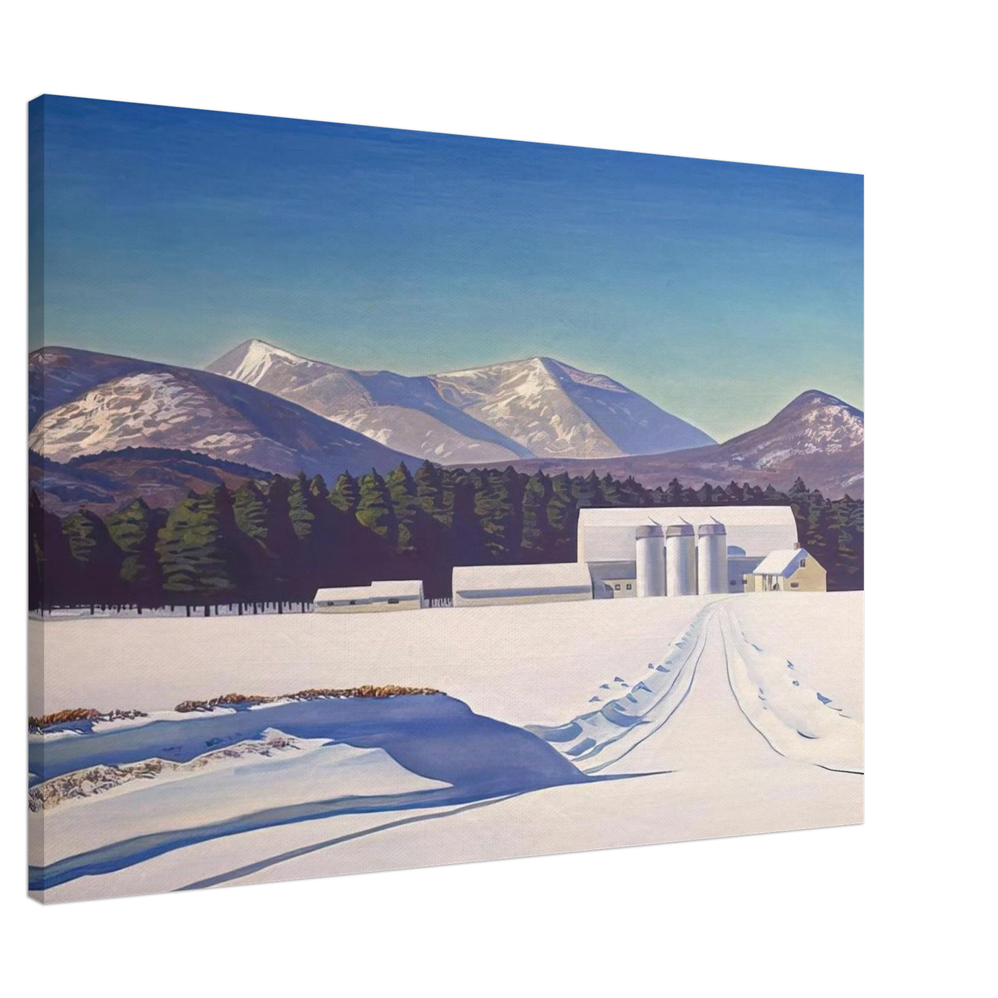 28957c57-2022-4042-b487-8f2e1c607335