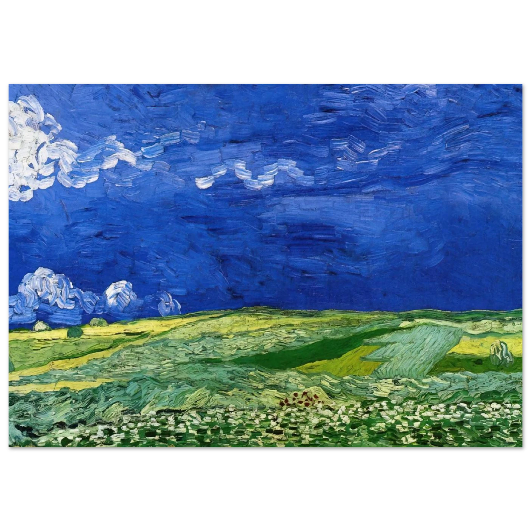 569ccf23-96b4-40f6-907b-a9928db6117b