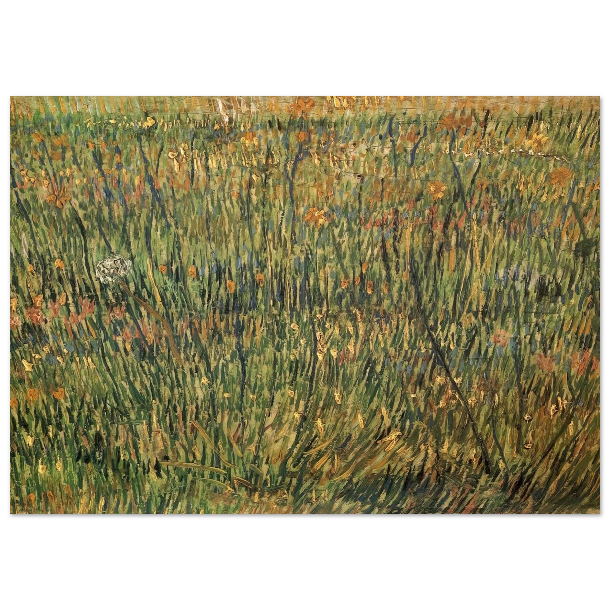 56f72ca1-21a7-40e2-a271-d8ba33de8d5d