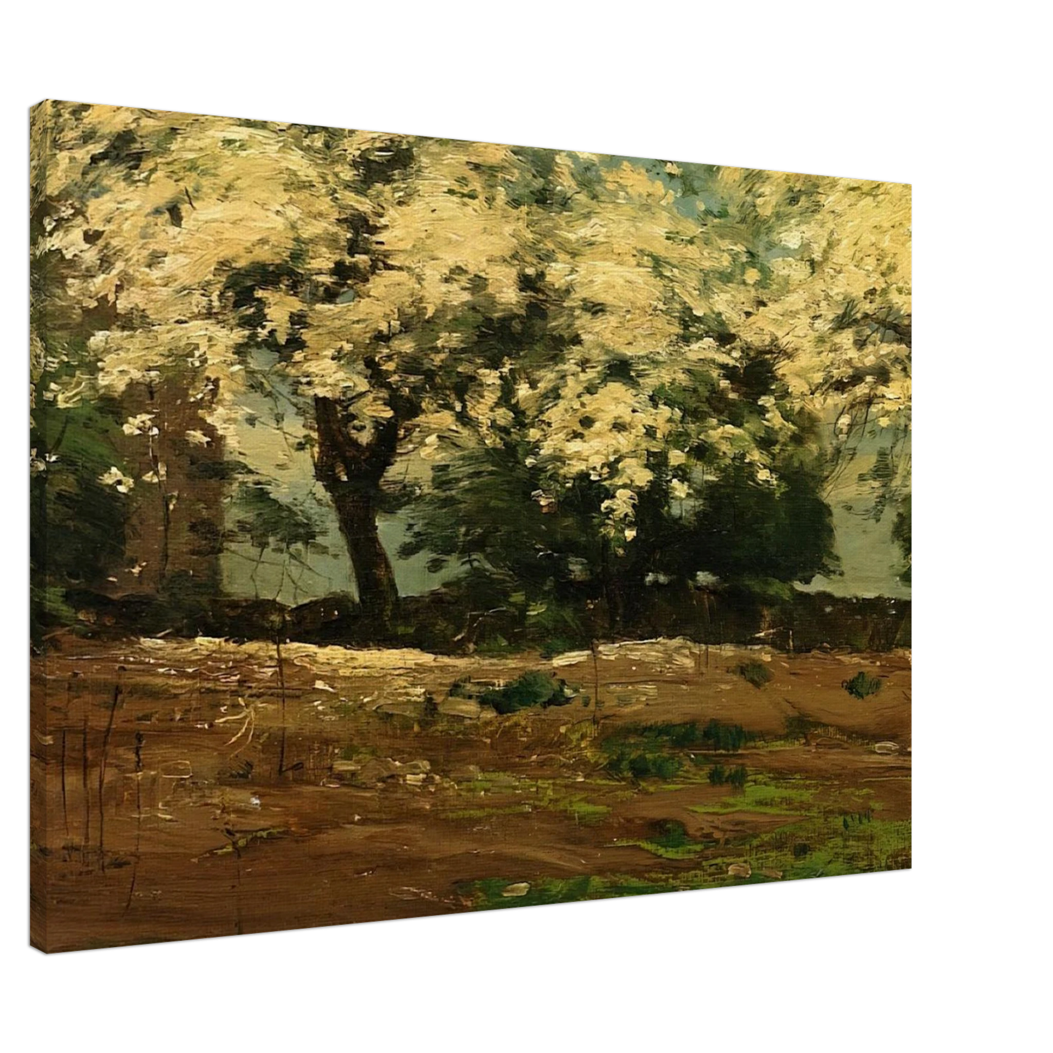 5b004adb-2764-47d3-a045-dcc4d3bf1766