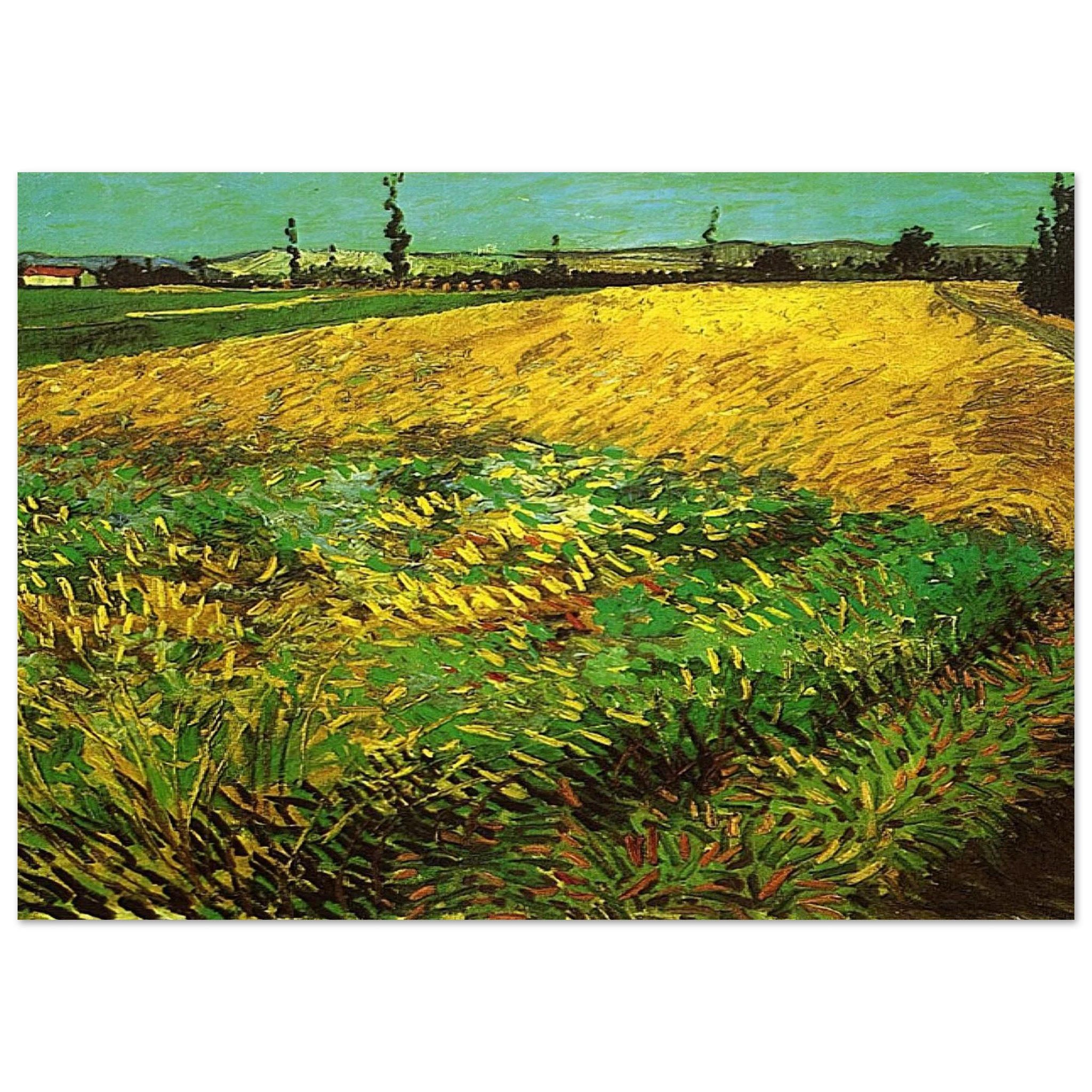 5c7c3f84-1faa-43c4-90a1-7b5f432a32bb