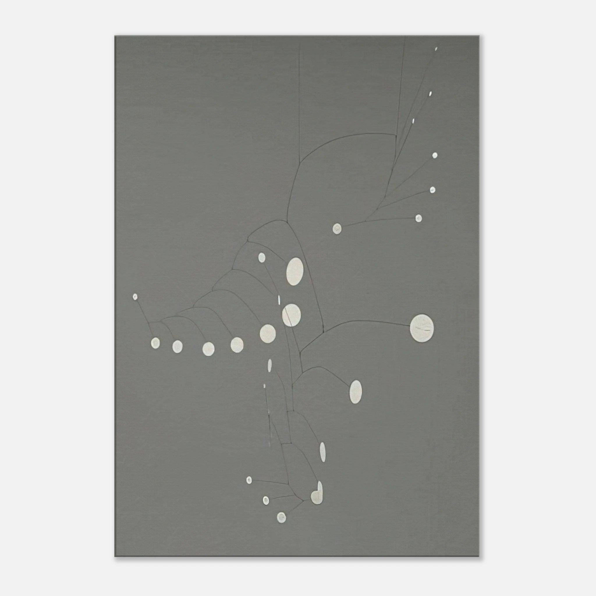 788a8d71-0527-4660-aef3-7a8a76c29bb6