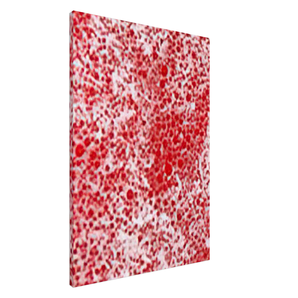 b2ee0e66-248b-4d30-a855-64149cf046e9