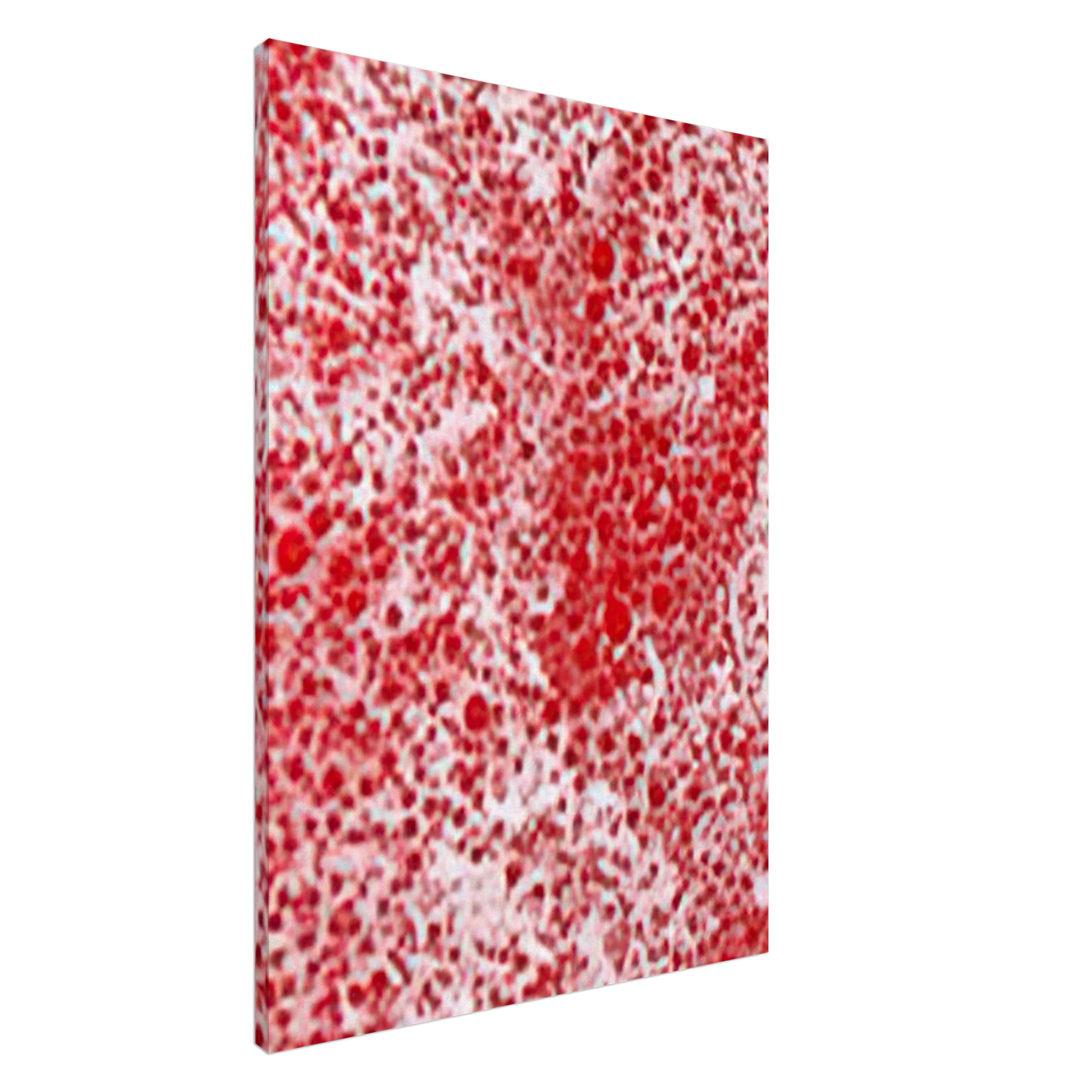 b2ee0e66-248b-4d30-a855-64149cf046e9