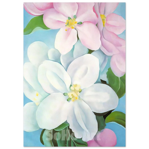 d2d204a6-1ed4-414f-ba3a-850a66519f2f