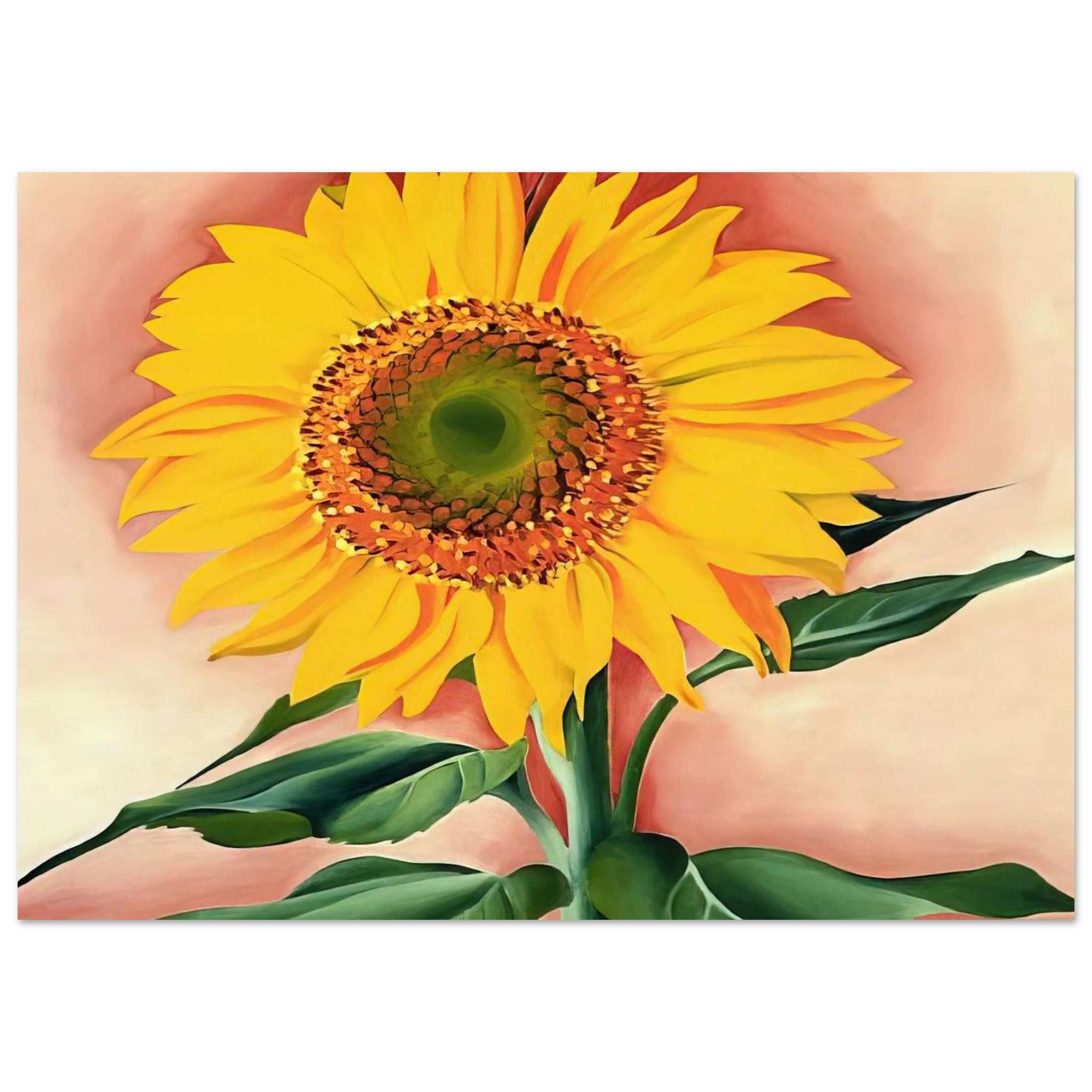 d8b6416b-d86e-4b47-9f2e-4ced6d2b7679