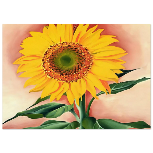 d8b6416b-d86e-4b47-9f2e-4ced6d2b7679