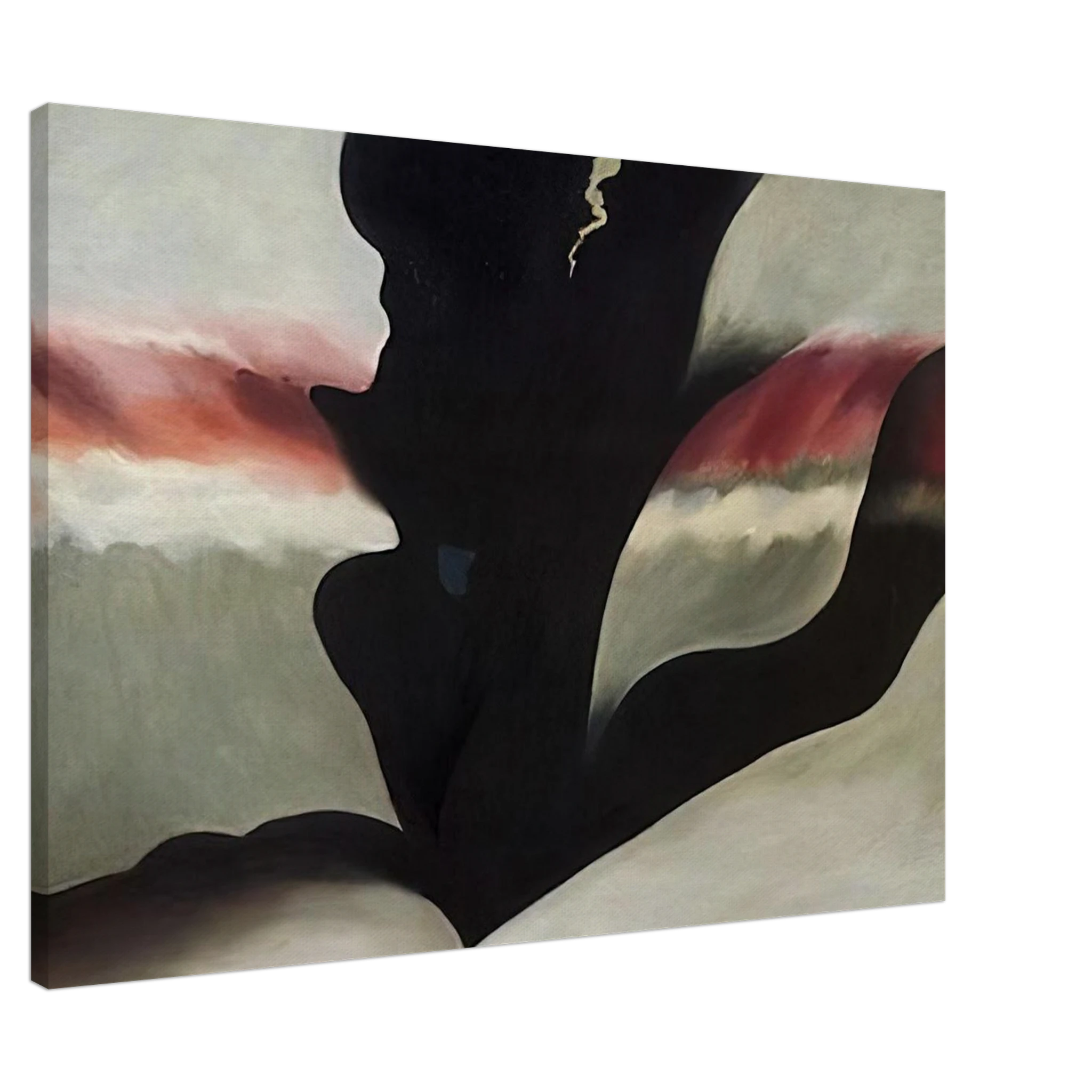 dfd1aa01-e09c-427d-8d8d-5bc629f92eb9